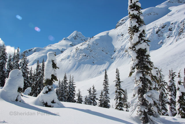 ©Sheridan Porteous sledding photography