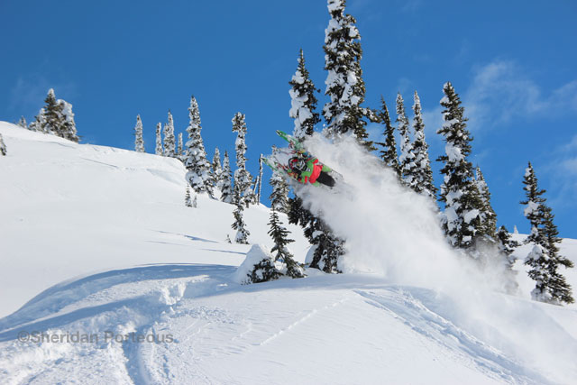 ©Sheridan Porteous sledding photography