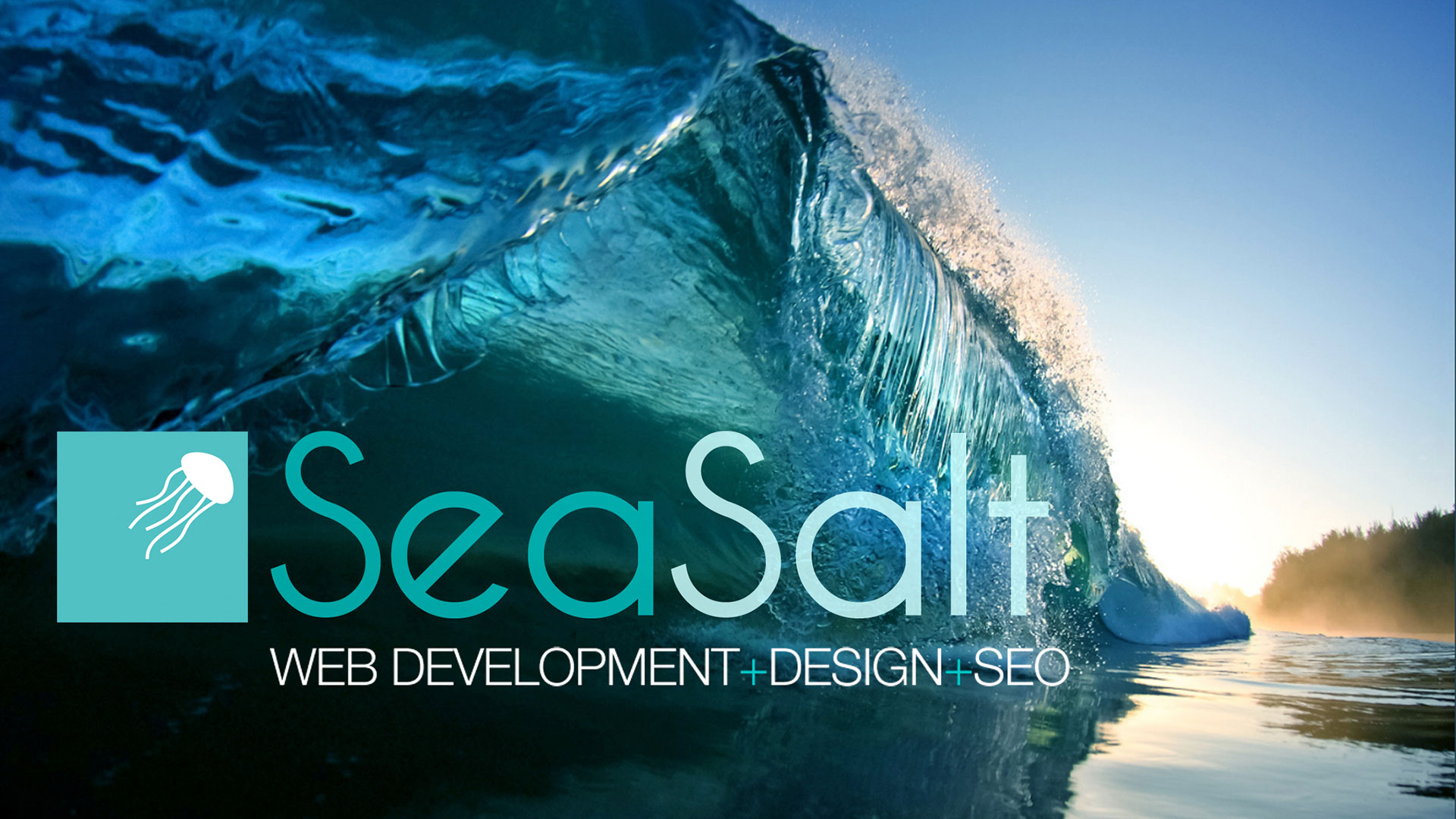 Sea Salt Web Development, Design & SEO Sydney Digital Agency