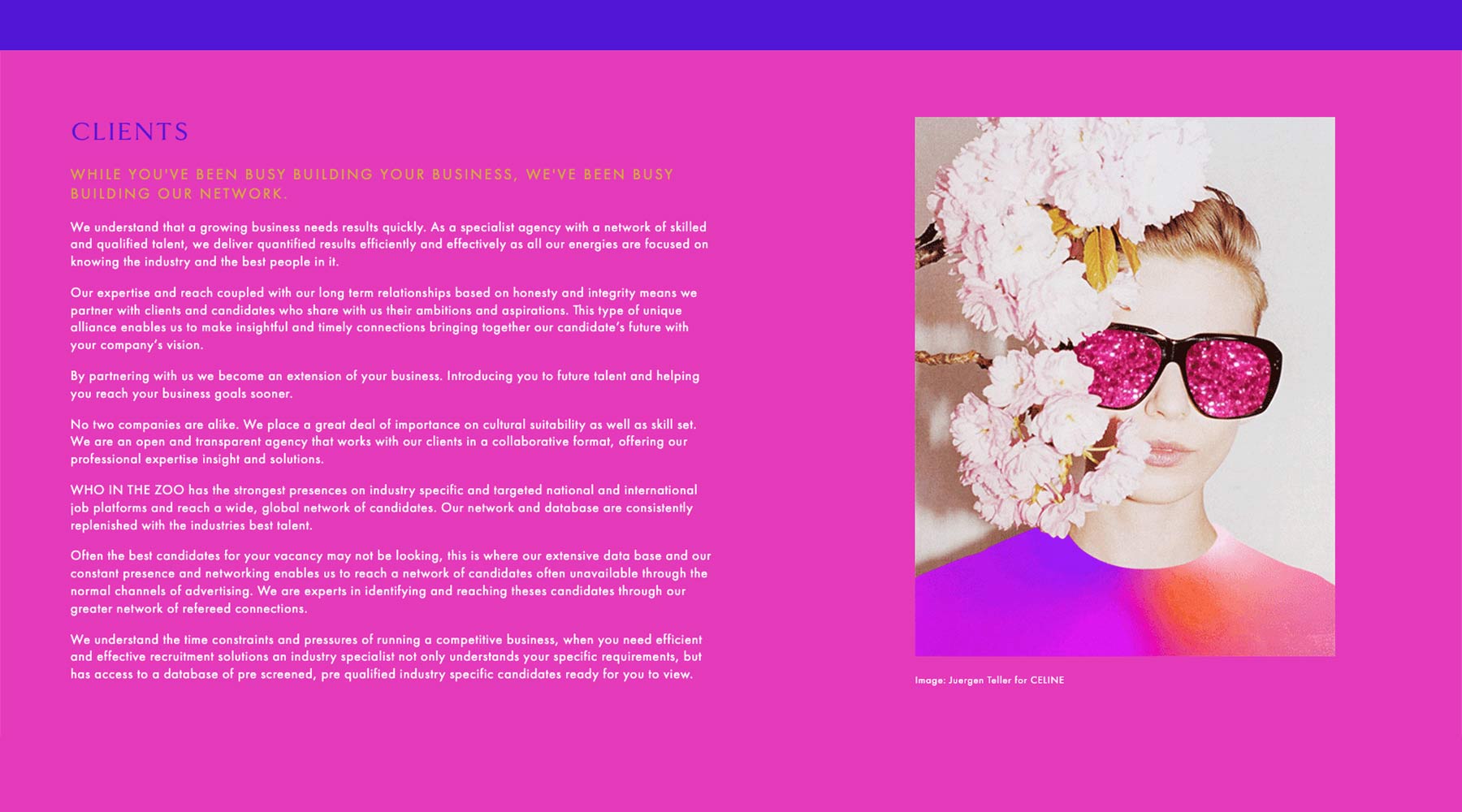 Sea Salt Web Design Sydney web development agency Squarespace Who In The Zoo HR