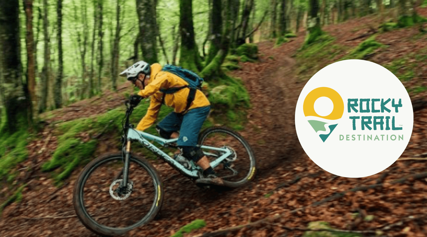 Sea Salt Web Design Logo Design Rocky Trail Destination mountain biking eco-tourism company